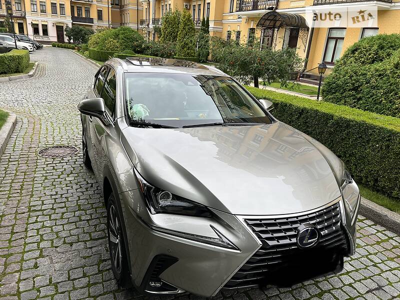 Внедорожник / Кроссовер Lexus NX 2019 в Киеве фото 12 Внедорожник / Кроссовер Lexus NX 2019 в Киеве