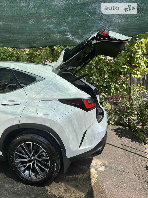 Внедорожник / Кроссовер Lexus NX 2022 в Кривом Роге