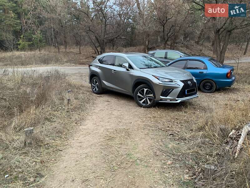 Внедорожник / Кроссовер Lexus NX 2019 в Киеве фото 14 Внедорожник / Кроссовер Lexus NX 2019 в Киеве