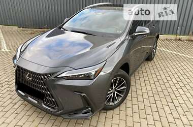 Позашляховик / Кросовер Lexus NX 2022 в Києві