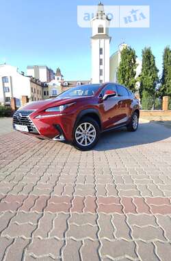 Позашляховик / Кросовер Lexus NX 2020 в Києві