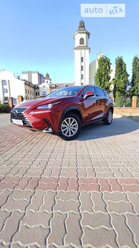 Позашляховик / Кросовер Lexus NX 2020 в Києві