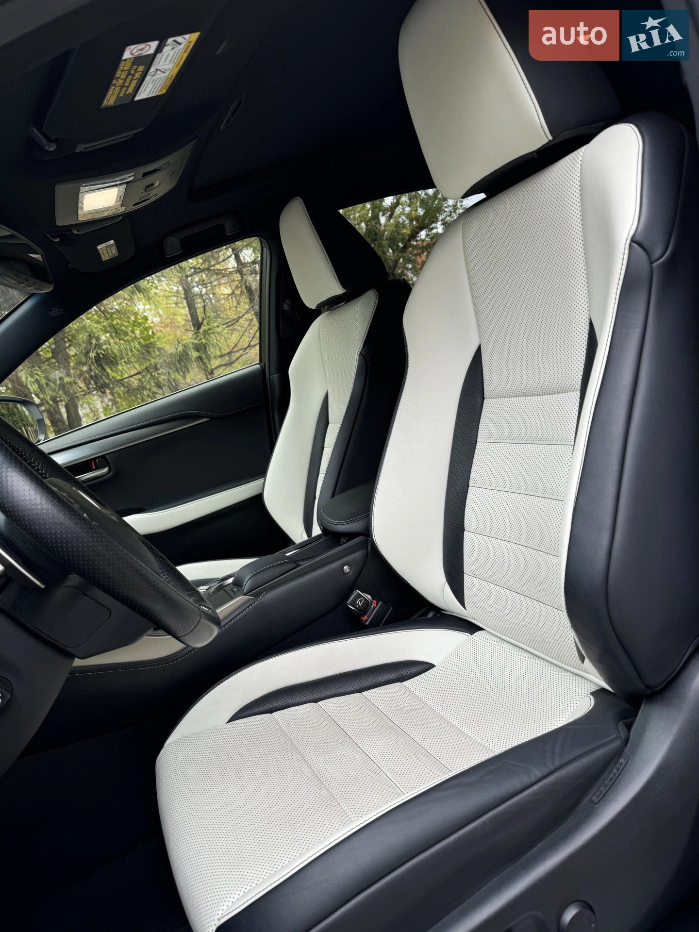 2019 Lexus NX - мініатюра 25