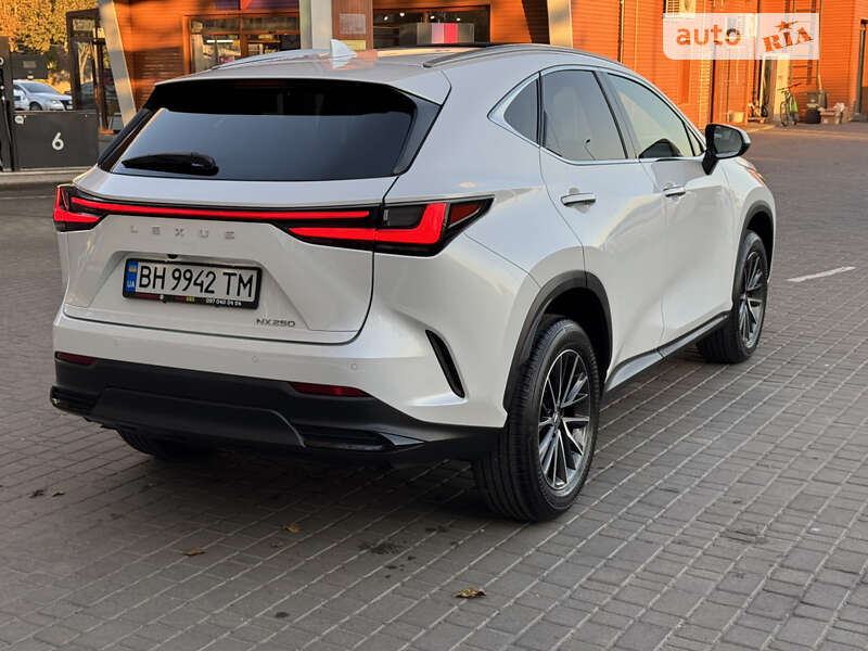Позашляховик / Кросовер Lexus NX 2022 в Одесі
