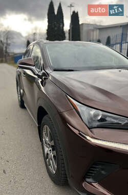 Внедорожник / Кроссовер Lexus NX 2019 в 
