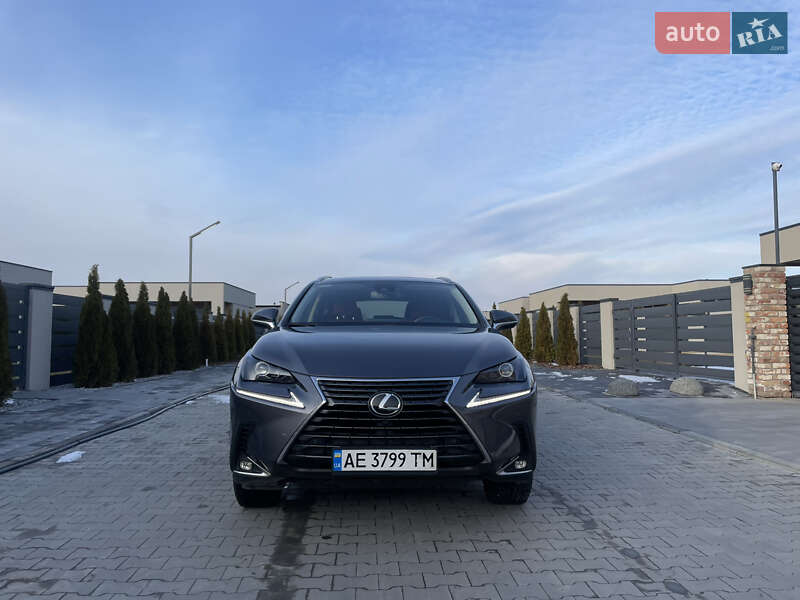 Внедорожник / Кроссовер Lexus NX 2020 в Днепре фото 2 Внедорожник / Кроссовер Lexus NX 2020 в Днепре