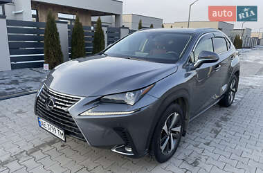 Позашляховик / Кросовер Lexus NX 2020 в 