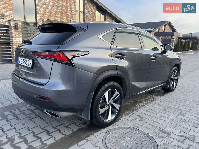 Внедорожник / Кроссовер Lexus NX 2020 в Днепре фото 11 Внедорожник / Кроссовер Lexus NX 2020 в Днепре