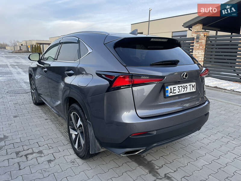 Внедорожник / Кроссовер Lexus NX 2020 в Днепре фото 13 Внедорожник / Кроссовер Lexus NX 2020 в Днепре