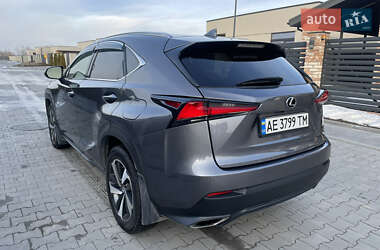 Позашляховик / Кросовер Lexus NX 2020 в 