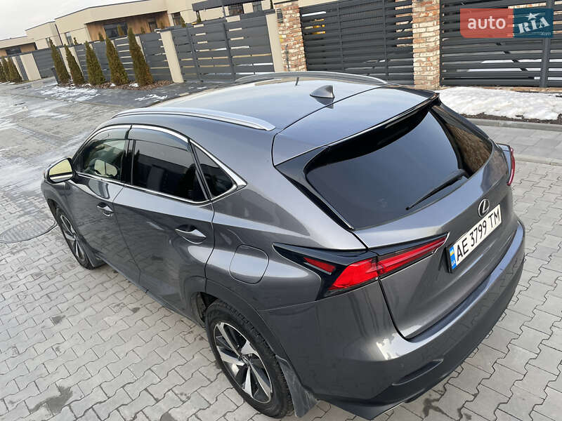 Внедорожник / Кроссовер Lexus NX 2020 в Днепре фото 34 Внедорожник / Кроссовер Lexus NX 2020 в Днепре
