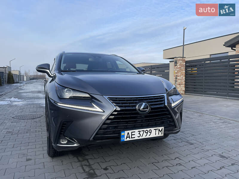 Внедорожник / Кроссовер Lexus NX 2020 в Днепре фото 43 Внедорожник / Кроссовер Lexus NX 2020 в Днепре