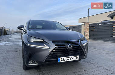 Позашляховик / Кросовер Lexus NX 2020 в 