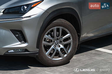 Позашляховик / Кросовер Lexus NX 2020 в 