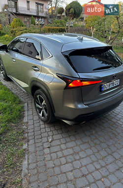 Внедорожник / Кроссовер Lexus NX 2019 в 