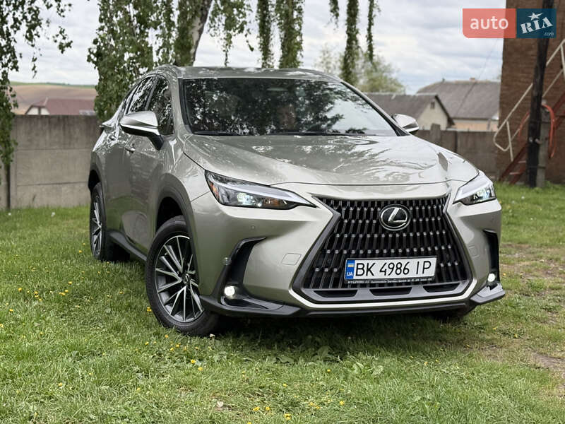 Позашляховик / Кросовер Lexus NX 2023 в 