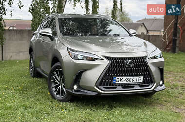 Позашляховик / Кросовер Lexus NX 2023 в 