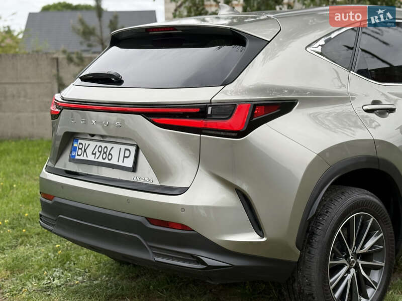 Внедорожник / Кроссовер Lexus NX 2023 в Ровно