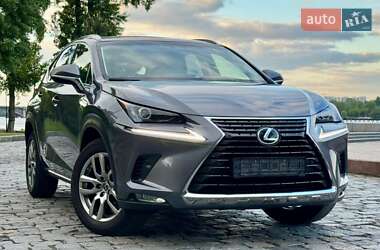 Внедорожник / Кроссовер Lexus NX 2019 в 