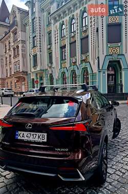 Внедорожник / Кроссовер Lexus NX 2020 в 