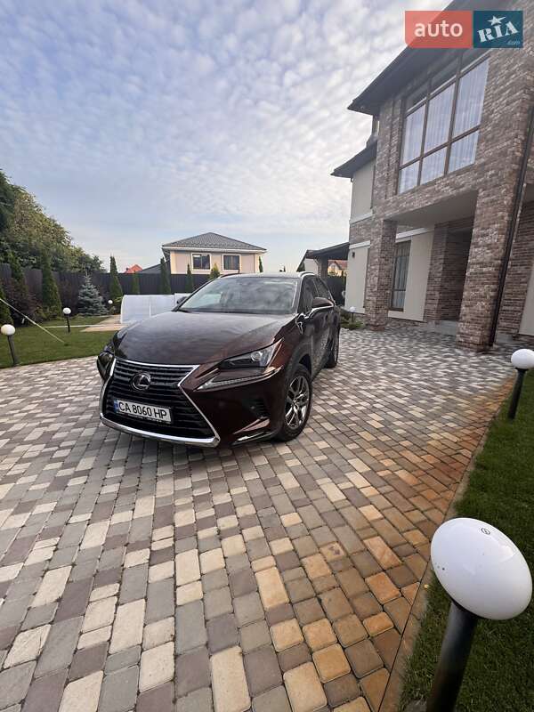 Внедорожник / Кроссовер Lexus NX 2019 в 