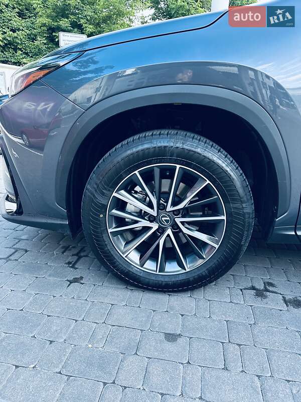 Позашляховик / Кросовер Lexus NX 2024 в Києві