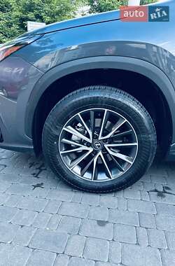 Внедорожник / Кроссовер Lexus NX 2024 в 