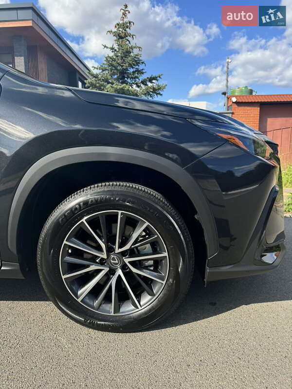 Внедорожник / Кроссовер Lexus NX 2022 в Киеве