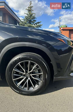 Позашляховик / Кросовер Lexus NX 2022 в 