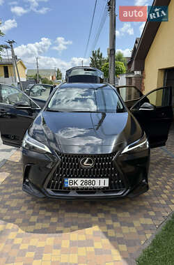Внедорожник / Кроссовер Lexus NX 2022 в 