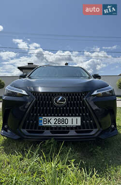 Внедорожник / Кроссовер Lexus NX 2022 в 