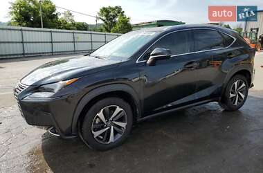 Lexus NX 2021