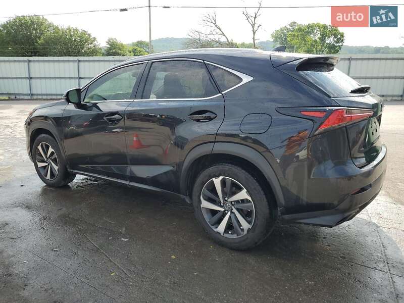 Позашляховик / Кросовер Lexus NX 2021 в Києві