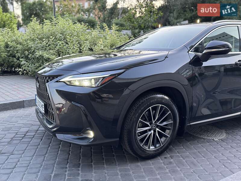Внедорожник / Кроссовер Lexus NX 2022 в Киеве фото 11 Внедорожник / Кроссовер Lexus NX 2022 в Киеве
