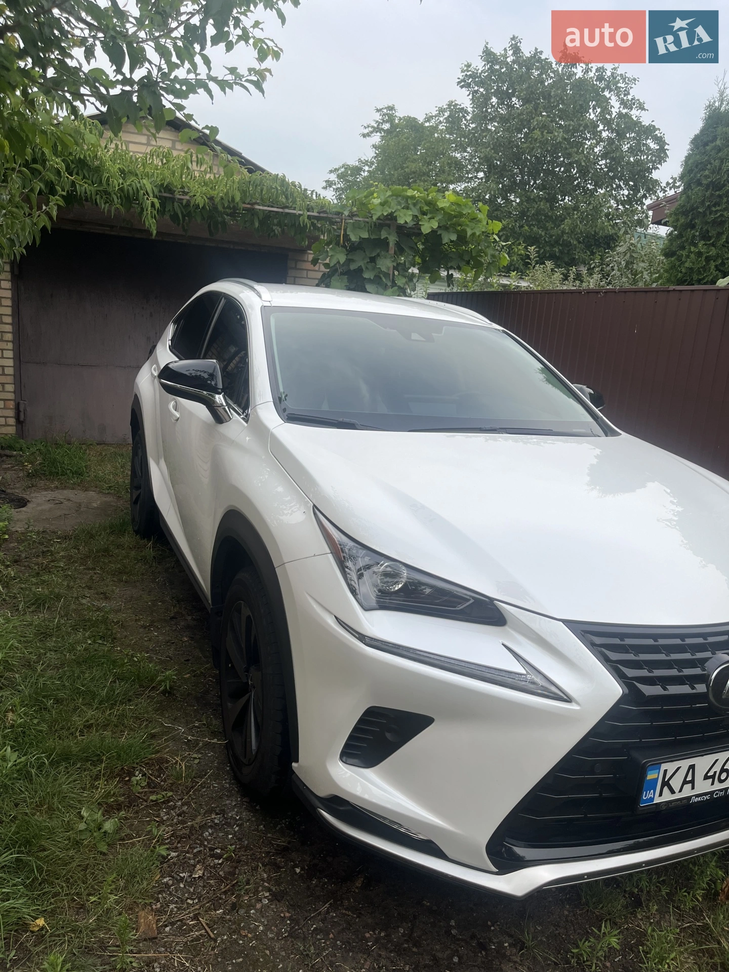 2020 Lexus NX - мініатюра 3