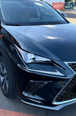 Внедорожник / Кроссовер Lexus NX 2020 в 