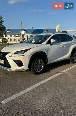 Позашляховик / Кросовер Lexus NX 2021 в Житомирі
