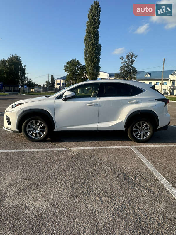 Внедорожник / Кроссовер Lexus NX 2021 в Житомире фото 9 Внедорожник / Кроссовер Lexus NX 2021 в Житомире