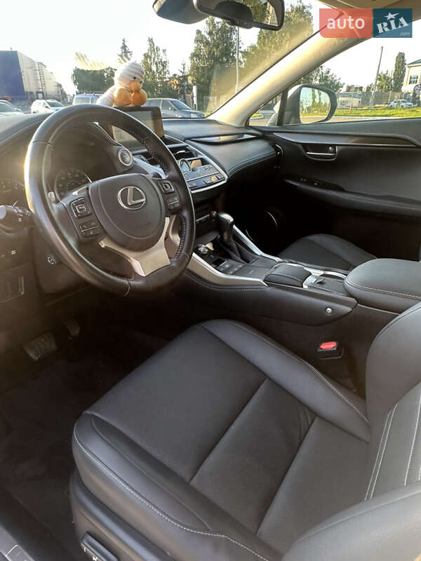 Внедорожник / Кроссовер Lexus NX 2021 в Житомире фото 15 Внедорожник / Кроссовер Lexus NX 2021 в Житомире