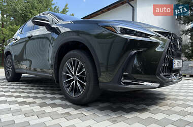 Внедорожник / Кроссовер Lexus NX 2023 в 