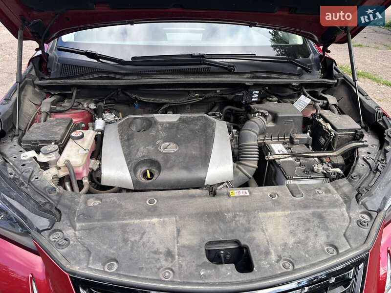 Внедорожник / Кроссовер Lexus NX 2020 в Киеве