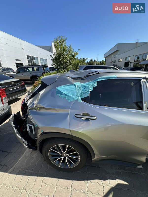 Внедорожник / Кроссовер Lexus NX 2025 в Киеве