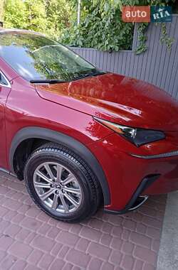 Внедорожник / Кроссовер Lexus NX 2019 в 
