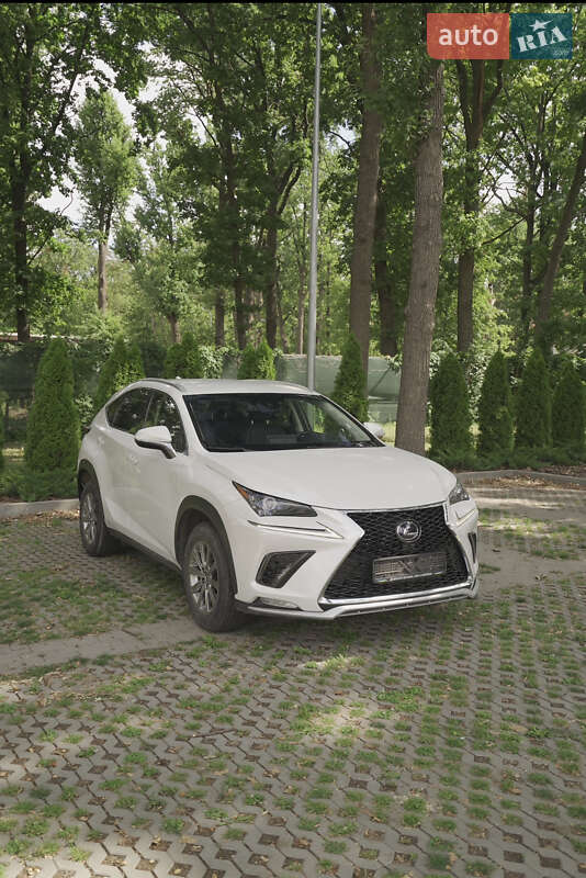 Внедорожник / Кроссовер Lexus NX 2019 в 