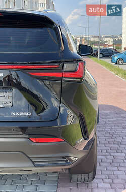 Внедорожник / Кроссовер Lexus NX 2022 в 