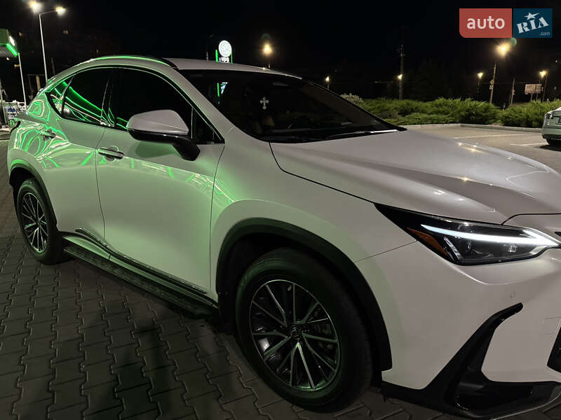 Внедорожник / Кроссовер Lexus NX 2021 в Киеве фото 6 Внедорожник / Кроссовер Lexus NX 2021 в Киеве