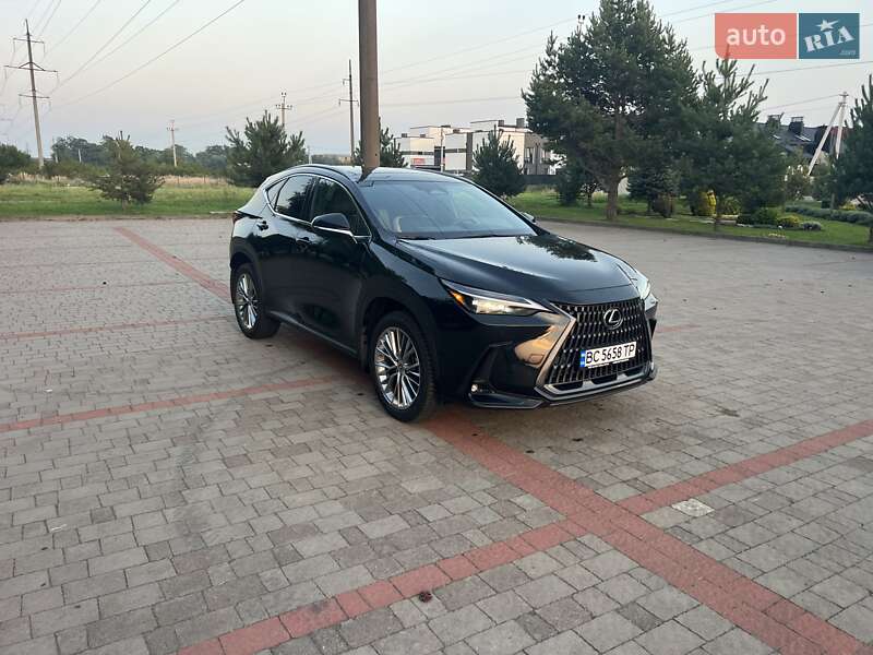 Внедорожник / Кроссовер Lexus NX 2022 в Солонке фото 5 Внедорожник / Кроссовер Lexus NX 2022 в Солонке