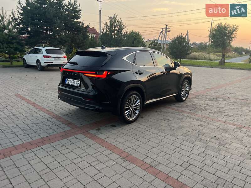 Внедорожник / Кроссовер Lexus NX 2022 в Солонке фото 6 Внедорожник / Кроссовер Lexus NX 2022 в Солонке