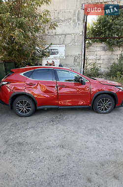 Внедорожник / Кроссовер Lexus NX 2024 в 