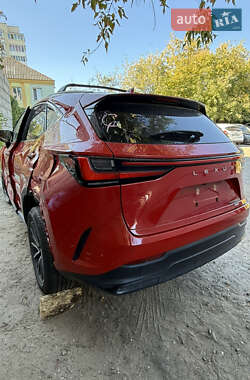 Внедорожник / Кроссовер Lexus NX 2024 в 
